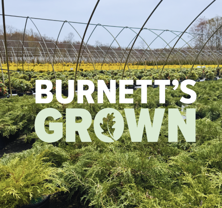 A Spring Visit to Our Farm in Canterbury